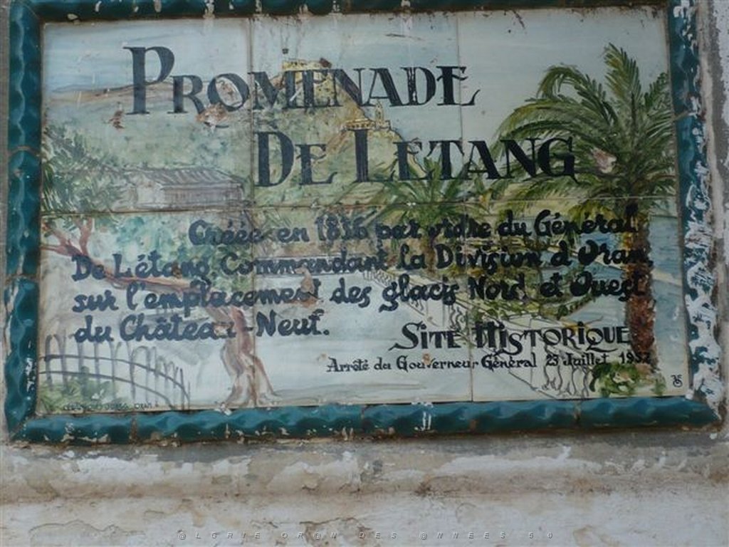ORAN SEPTEMBRE 2009 (37).JPG
